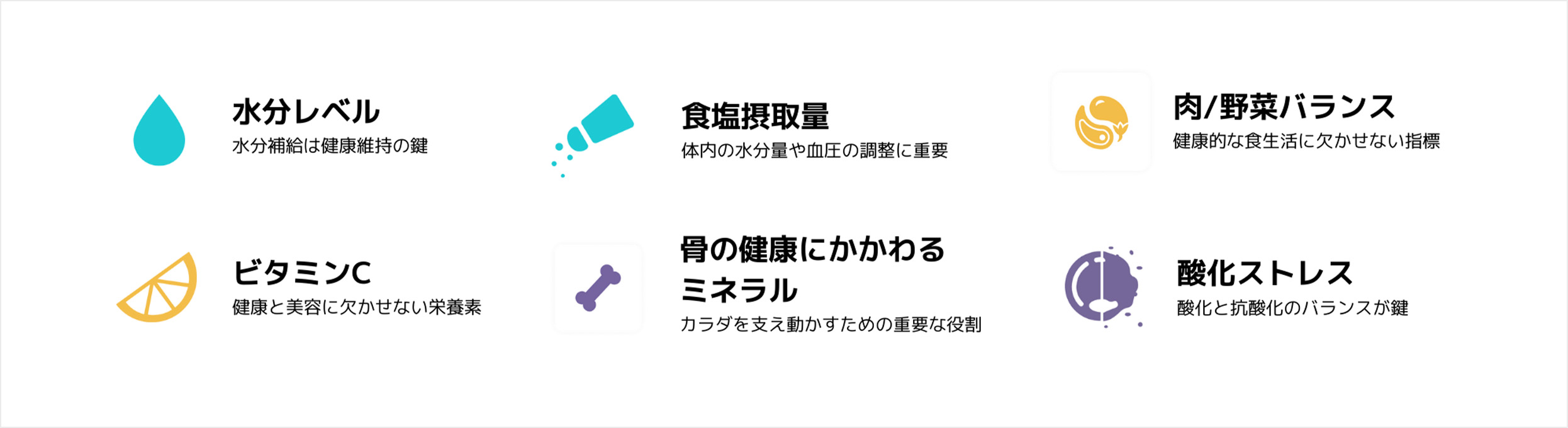 Vivooが測定する健康指標一覧：水分レベル、食塩摂取量、肉と野菜のバランス、ビタミンC、骨の健康に関わるミネラル、酸化ストレス。
